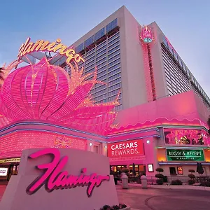 Flamingo & Casino Resort Las Vegas